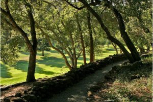 Napa Valley Meadowood hiking trails