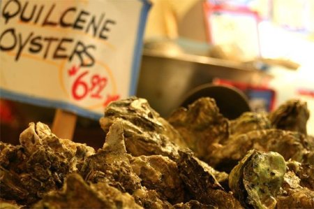oysters as aphrodisiac