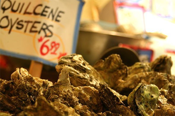 oysters as aphrodisiac 