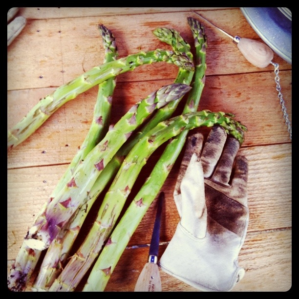 Photo: Linda Miller Nicholson