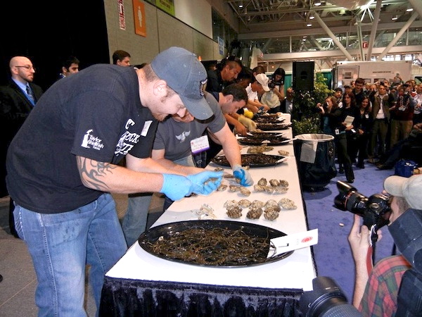 David Leck_Taylor Shellfish