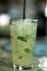 cactus mojito