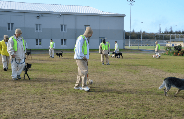 Photo courtesy of Sister Pauline Quinn OP Screen shot 2013-01-14 at 4.02.50 PM