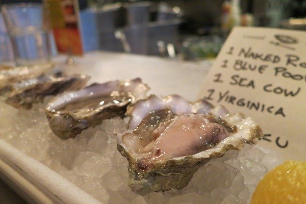 Oyster Selection at Coastal Kitchen. Photo Credit: Erina Malarkey