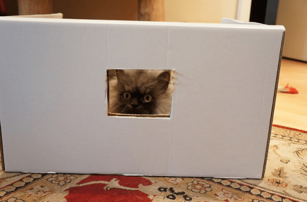 All photos courtesy of Anne Marie Avey and Eric Rosario