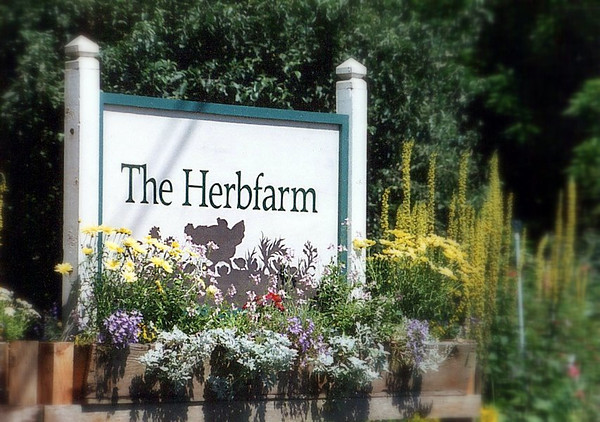 the herbfarm1
