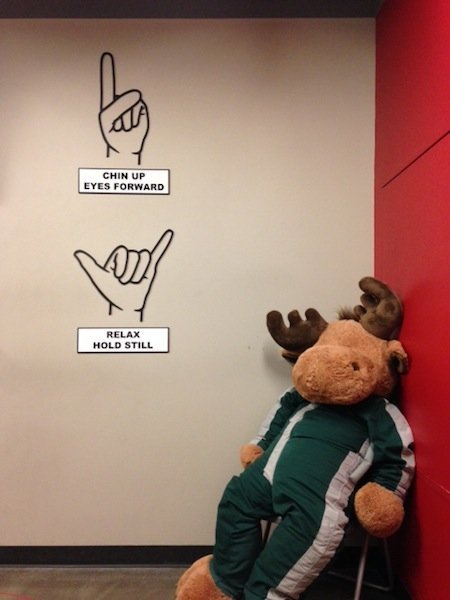 (Training room by Corinne Whiting.)