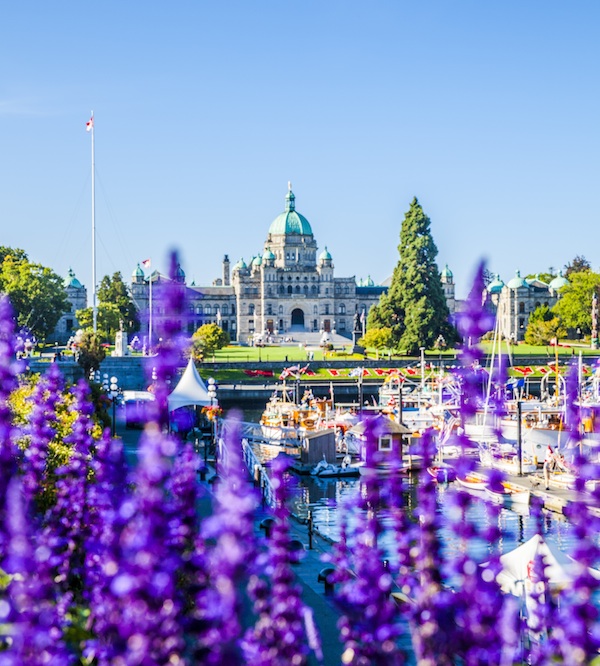 Photo by Alexia Foster 