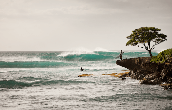 north shore_turtle bay