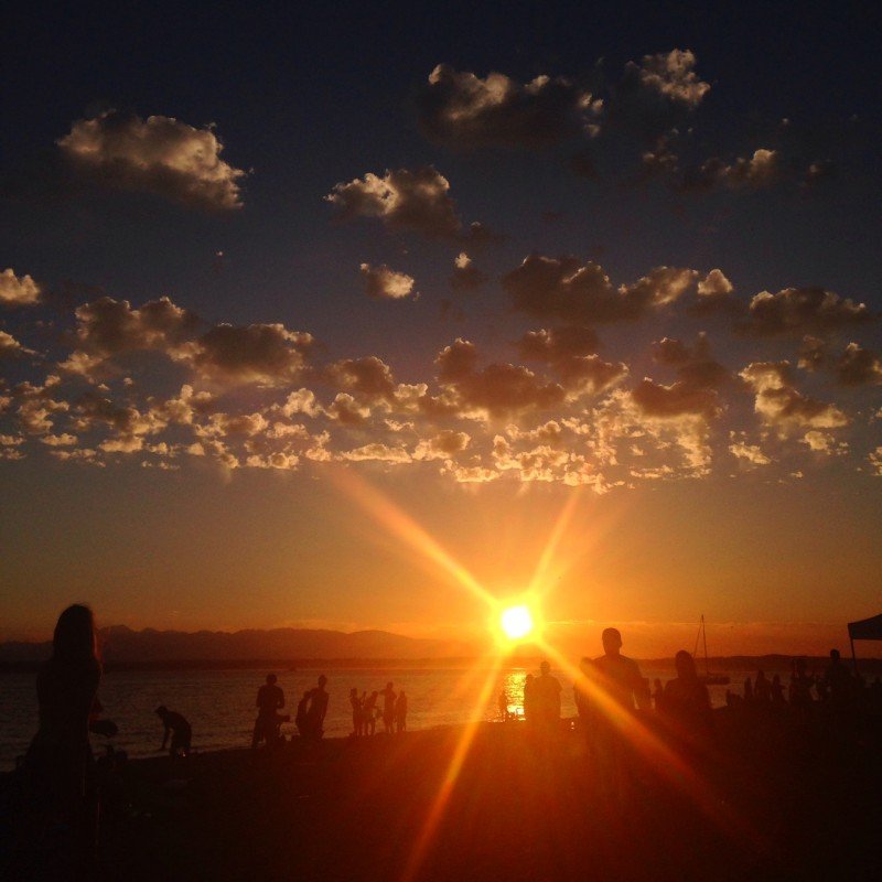 Golden Gardens by Corinne Whiting