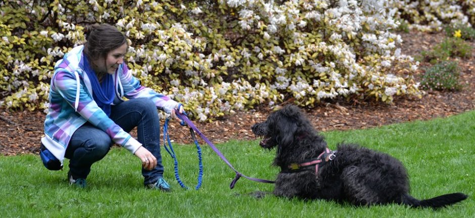 10245340_681551921915360_5115946068602116709_n