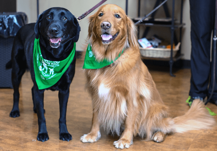 Photo by News of Mill Creek.