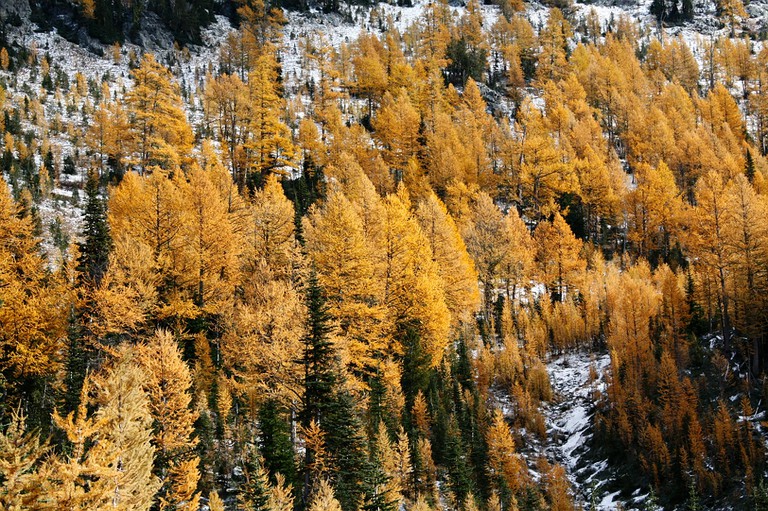 Carne Lake. Photo by Kirklander.