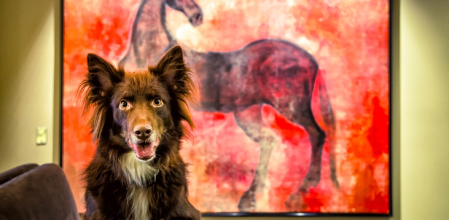 d6e0c71ca3722c71ddd73a242718257f_XL