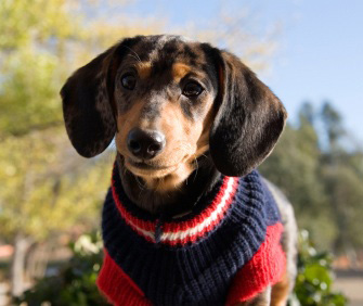 Photo by Image Street.