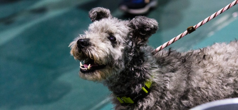 exhibitor-setup-info-post