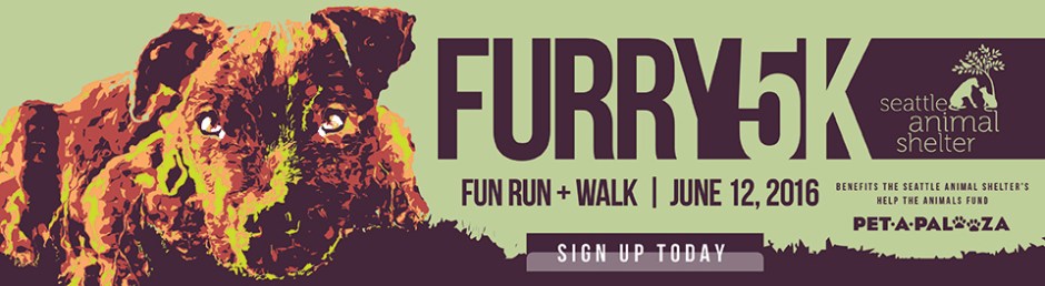 01_F5K16_WEB-AD_FURRY5K_COM_960x264px_PRE-RACE