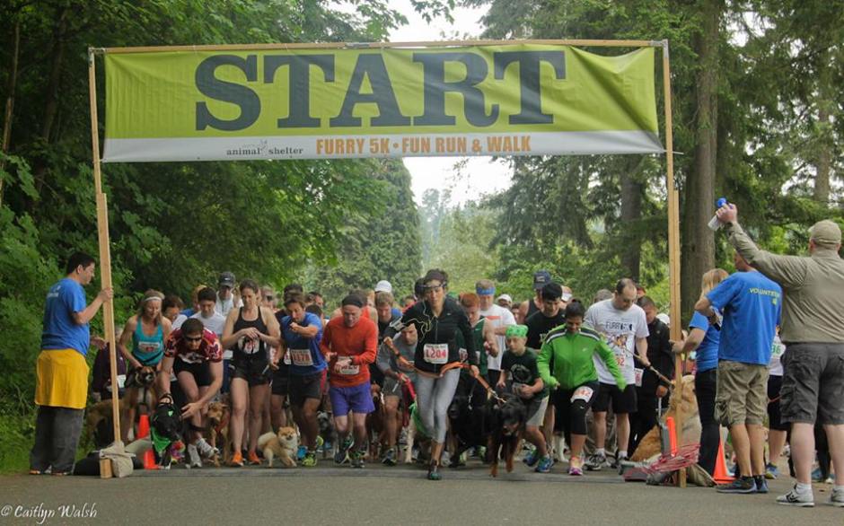 11393259_899913023381130_4616834181664458233_n