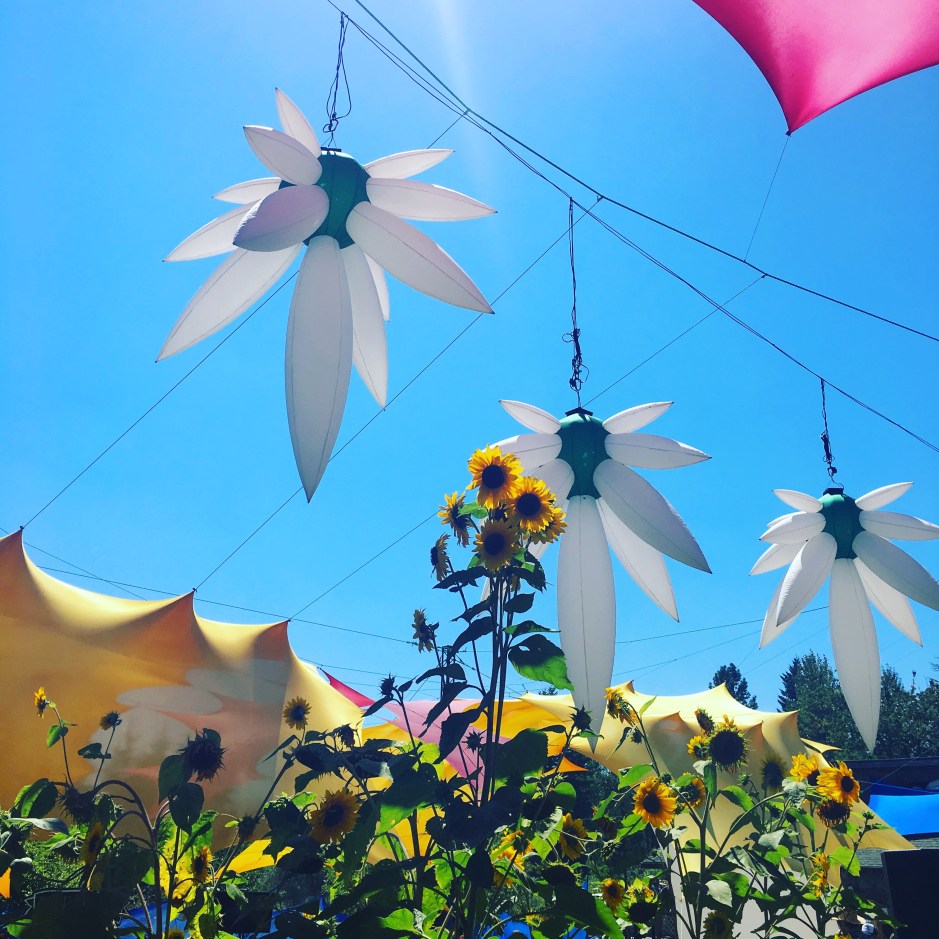 Photo by Corinne Whiting