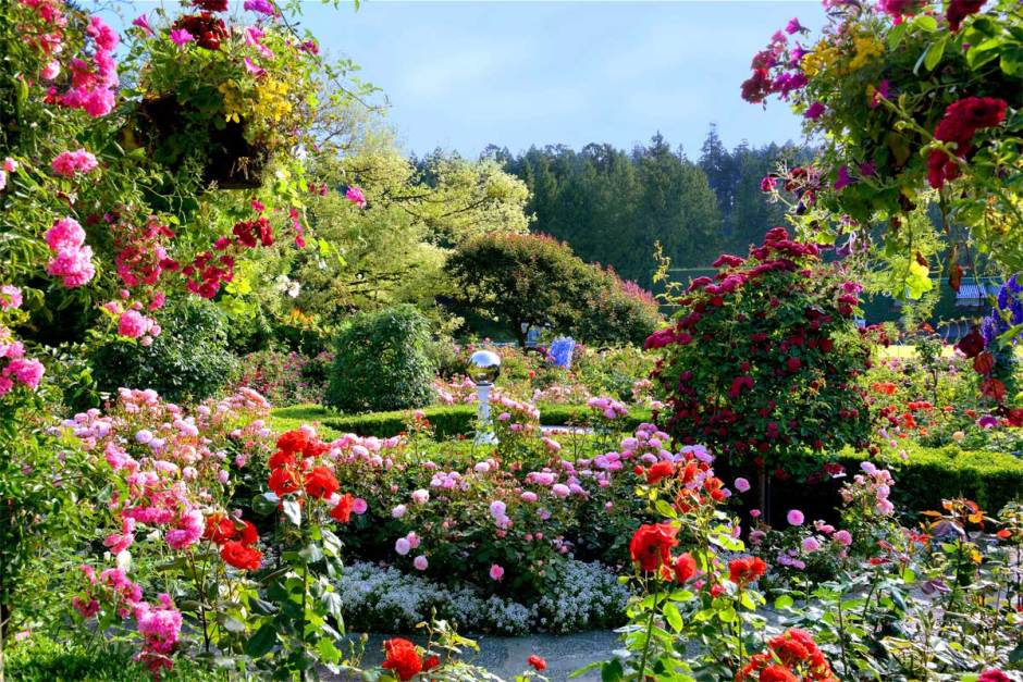 Photo by Butchart Gardens.
