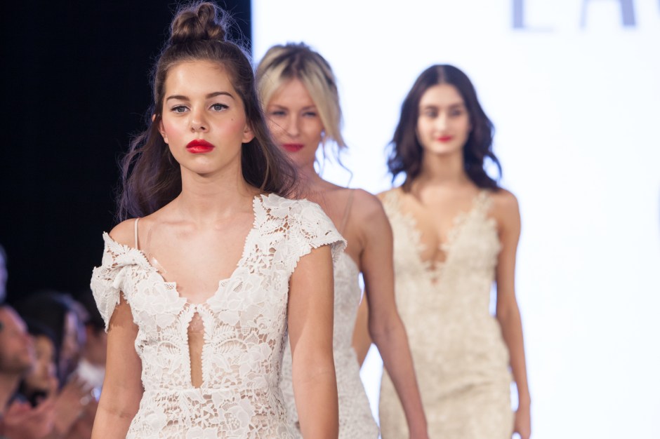 Laude collection. Photo by Peter Jensen.