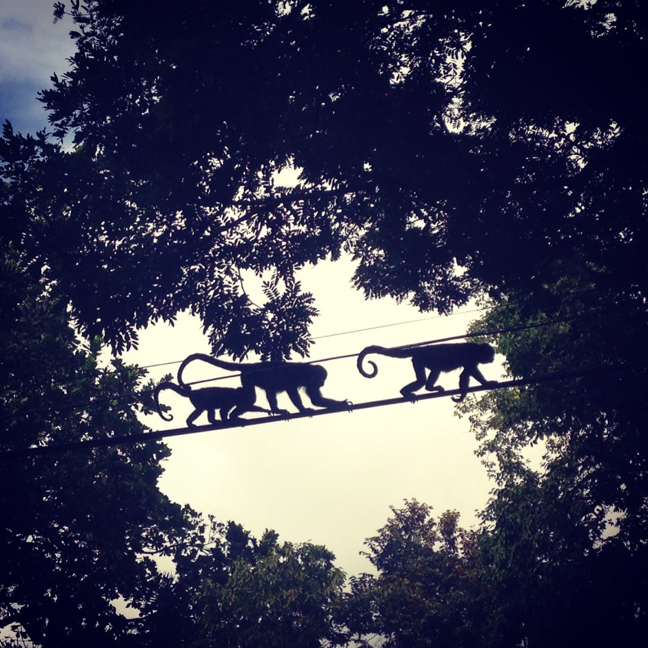 Photo by Corinne Whiting