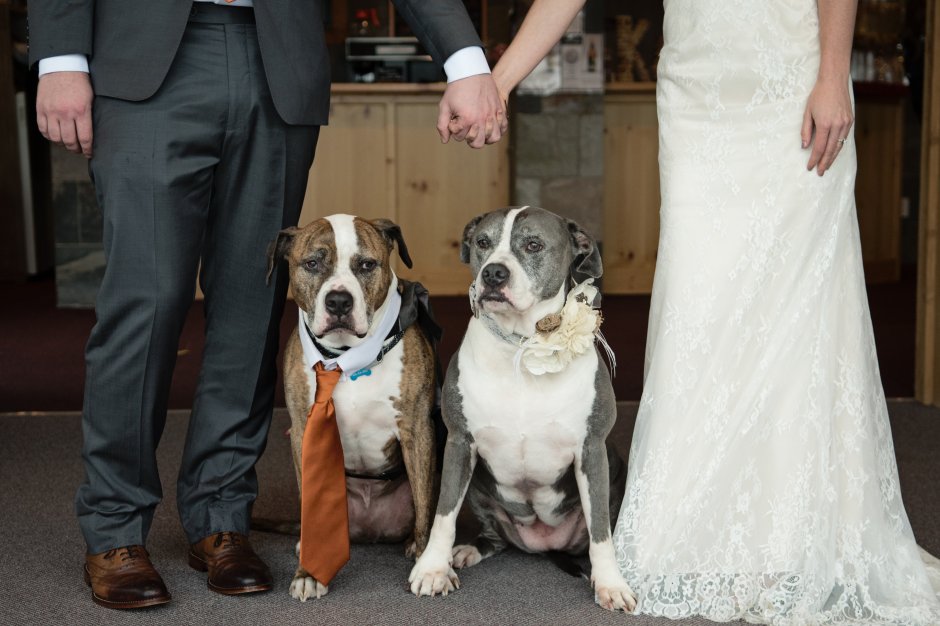 Photo by Lilly Photography