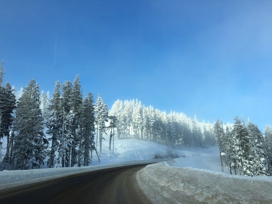 Photo by Corinne Whiting