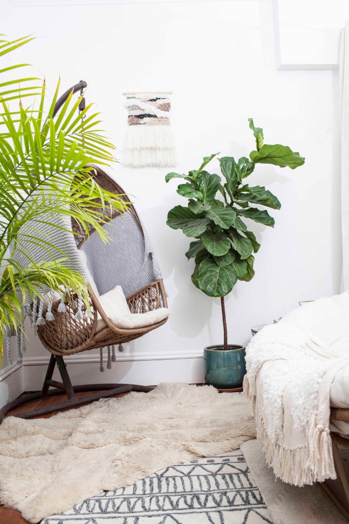 2016.10.16_BushandIvy-8