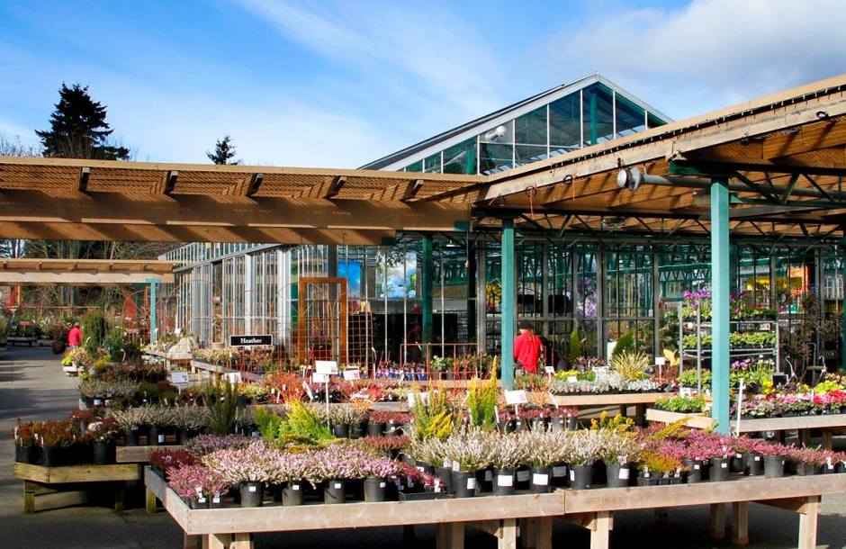 1921175_722922404406992_1052909536_o