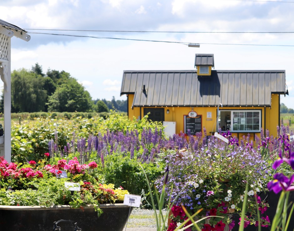Schuh Farms_Mount Vernon, WA_1