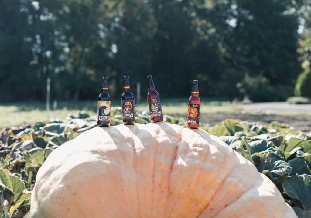 Photo credit: Elysian Brewing