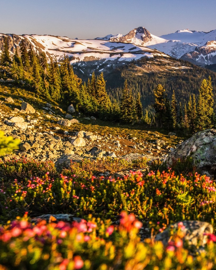 Whistler Blackcomb