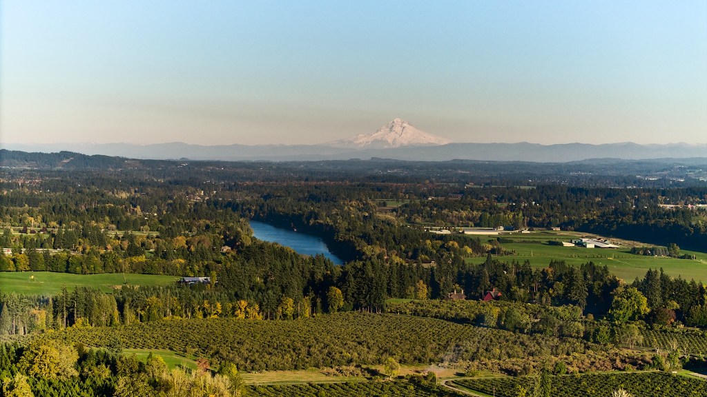 Willamette Valley vineyards